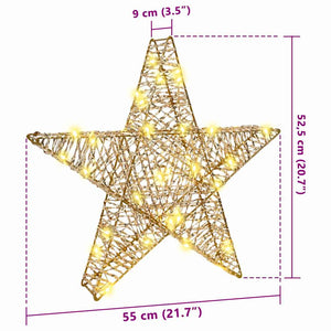 3D Αστέρι με 50 LED Θερμό λευκό 55 x 52.5 x 9 εκ PET - Pakobazaar