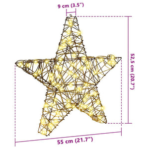 3D Αστέρι με 50 LED Θερμό λευκό 55 x 52.5 x 9 εκ Ρατάν - Pakobazaar
