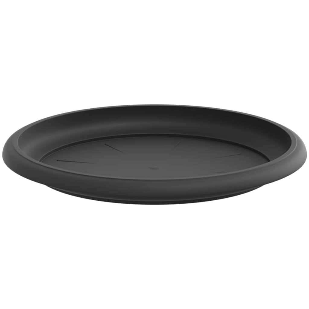 Στρογγυλός Δίσκος Λουλουδιών 6 pcs Μαύρο Ø 19 x 2 εκ Πλαστικό - Pakobazaar