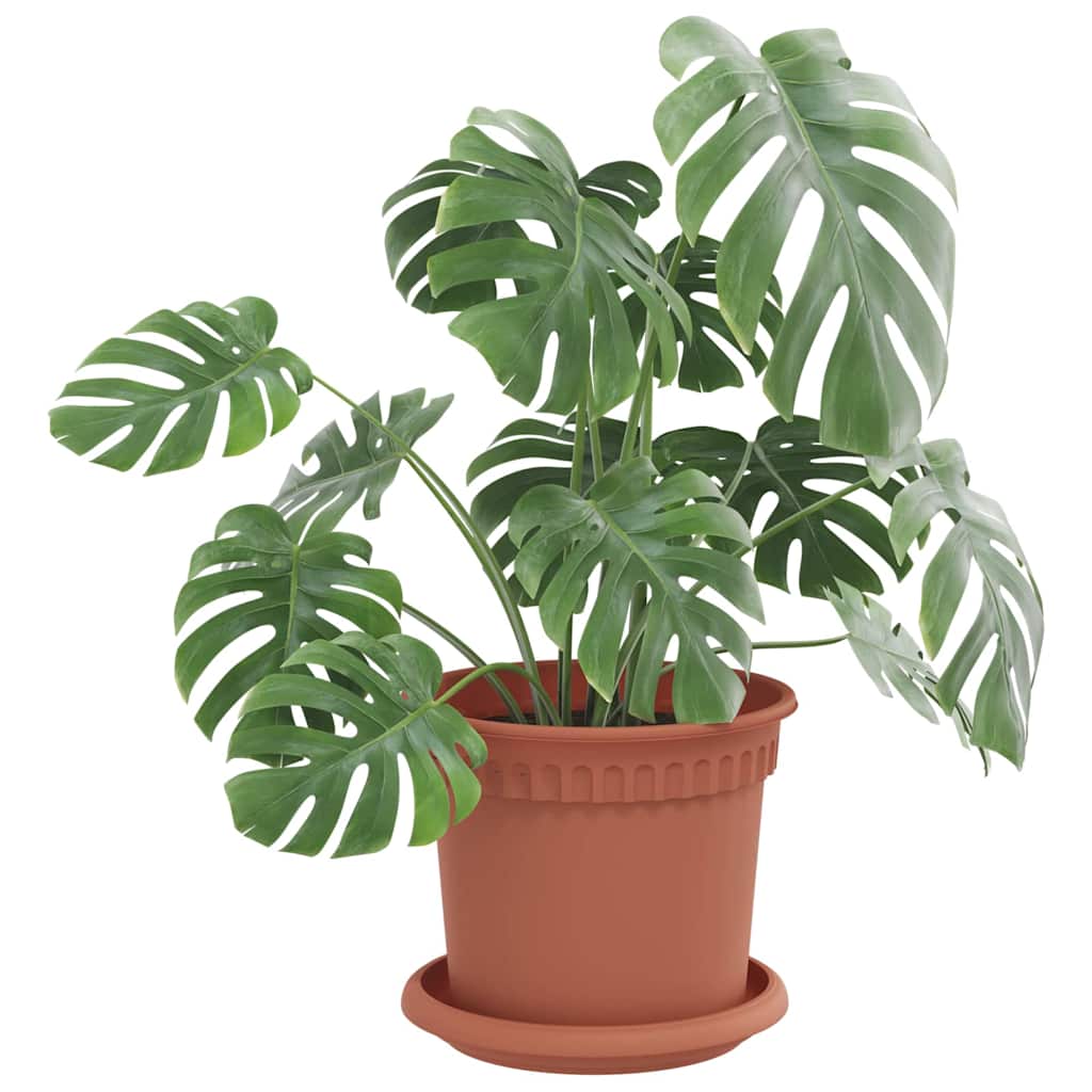 Στρογγυλός Δίσκος Λουλουδιών 24 pcs Κεραμιδί Ø 14 x 2 εκ - Pakobazaar