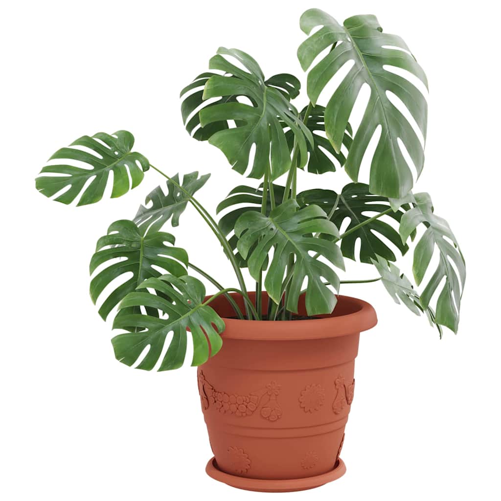 Στρογγυλός Δίσκος Λουλουδιών 24 pcs Κεραμιδί Ø 23,5 x 2,5 εκ - Pakobazaar