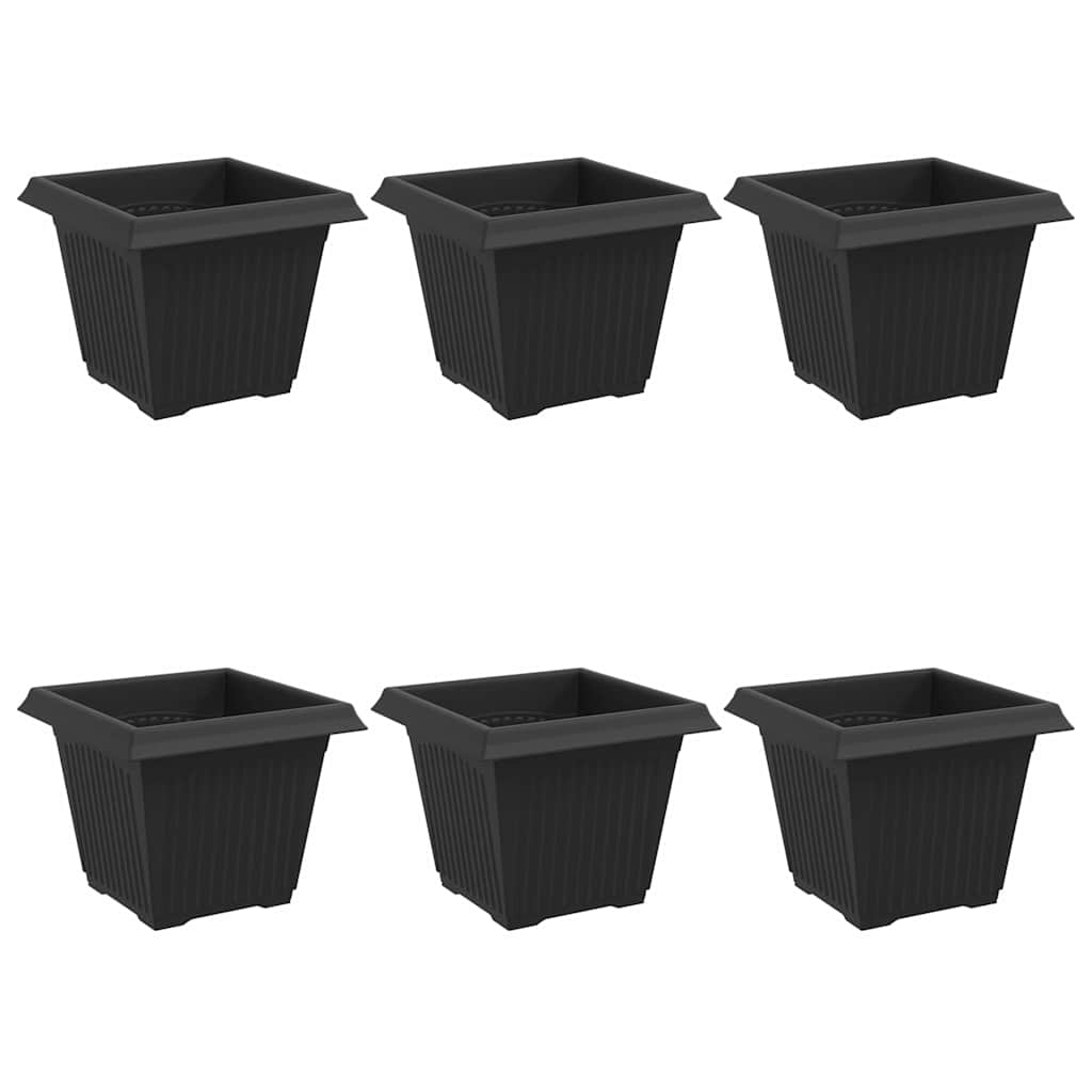 Τετράγωνη Γλάστρα για Λουλούδια 6 pcs Μαύρο 20 x 20 x 16 εκ - Pakobazaar