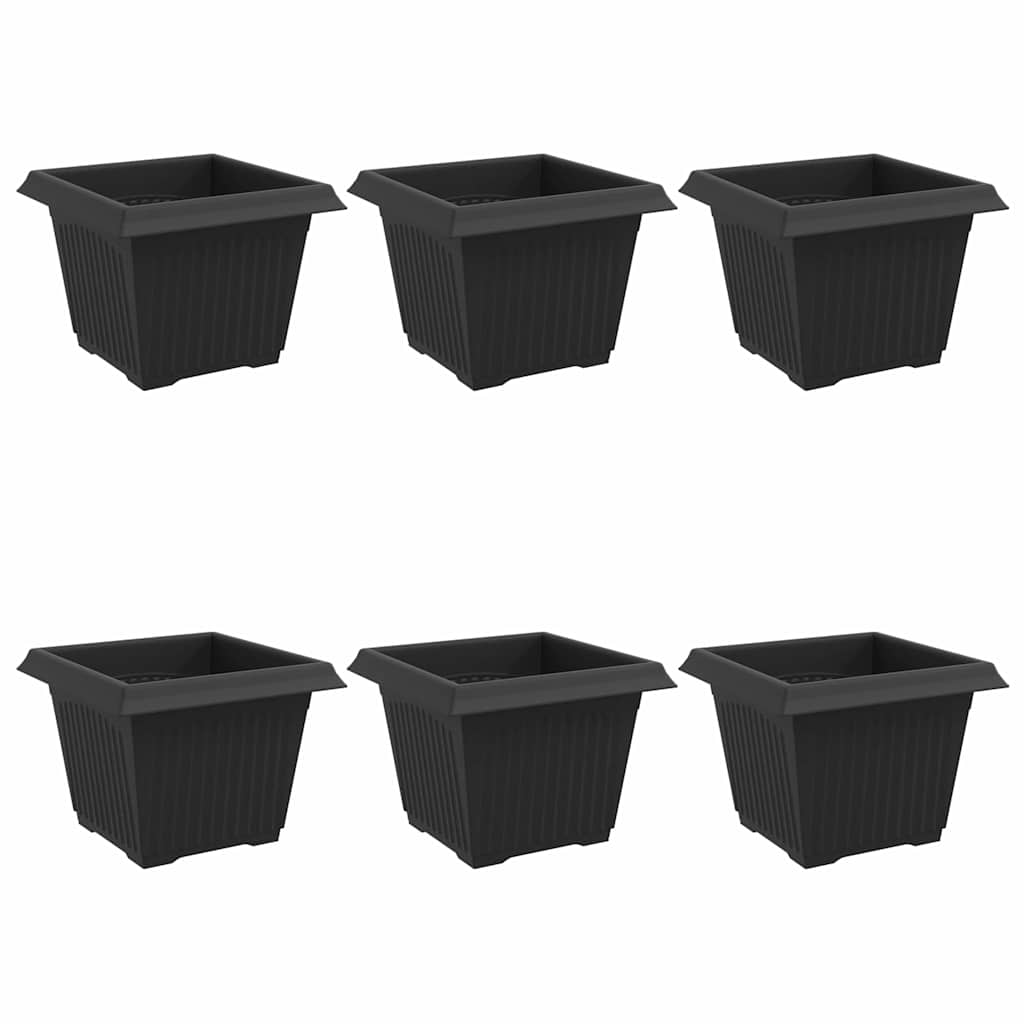 Τετράγωνη Γλάστρα για Λουλούδια 6 pcs Μαύρο 23 x 23 x 17,5 εκ - Pakobazaar