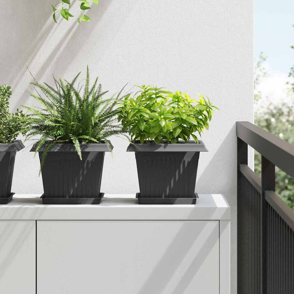 Τετραγωνικός Δίσκος Λουλουδιών 6 pcs Μαύρο 18 x 18 x 2 εκ. - Pakobazaar