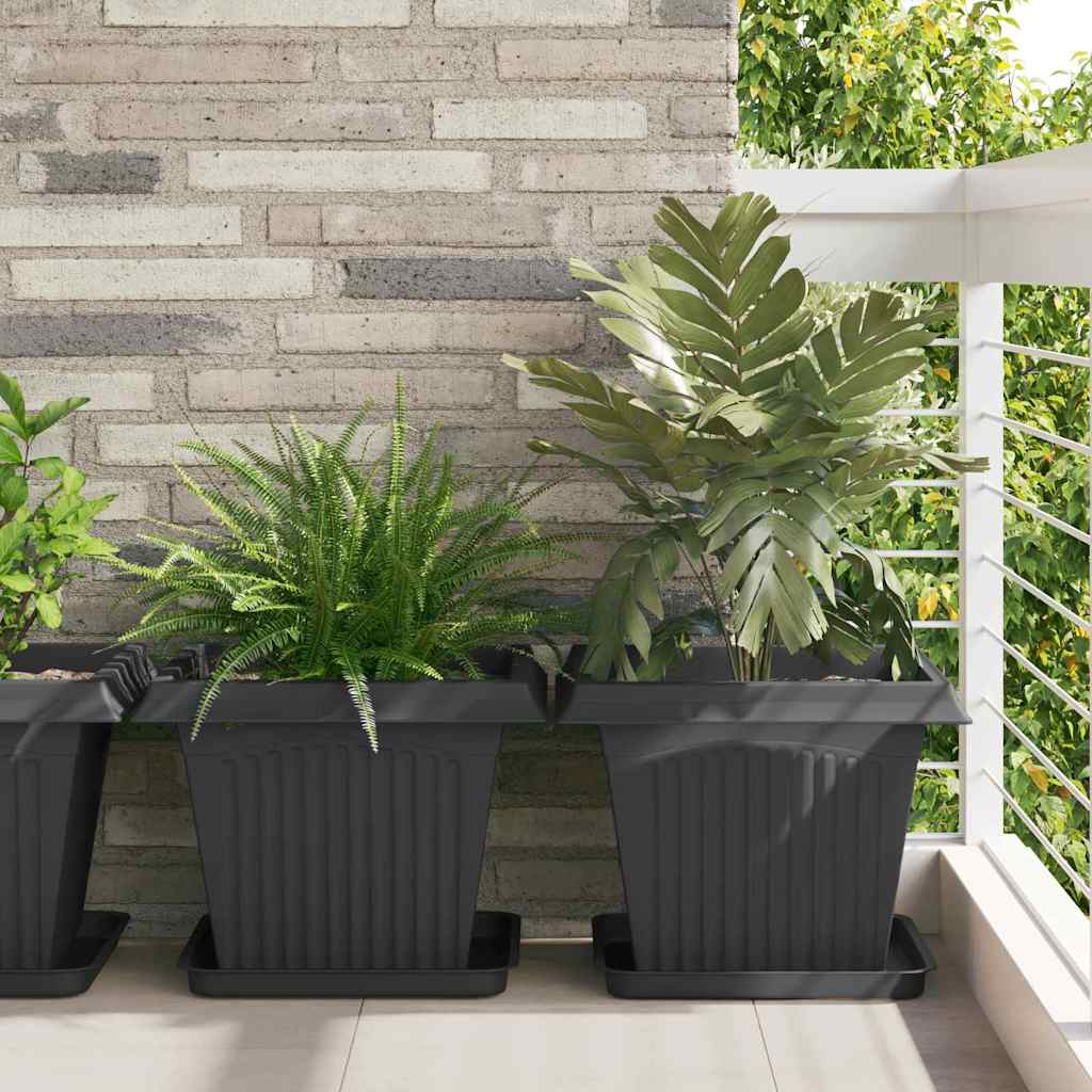 Τετραγωνικός Δίσκος Λουλουδιών 24 pcs Μαύρο 36 x 36 x 2.5 εκ. - Pakobazaar