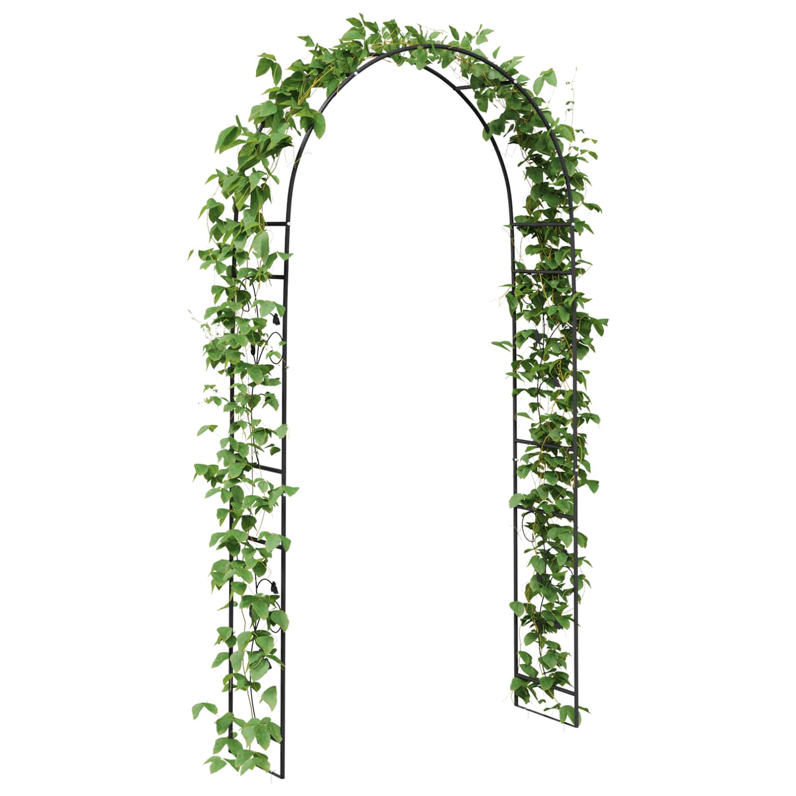 Κήπος Αψίδα Floral Μαύρο 115 x 37 x 231 εκ. - Pakobazaar