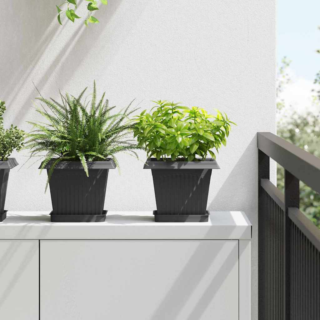 Γλάστρες φυτών 6 pcs Μαύρο 20 x 20 x 16 εκ Πλαστικό - Pakobazaar