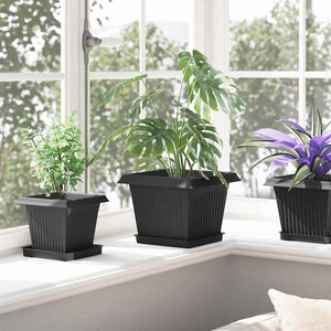 Γλάστρες φυτών 6 pcs Μαύρο 23 x 23 x 17,5 εκ Πλαστικό - Pakobazaar