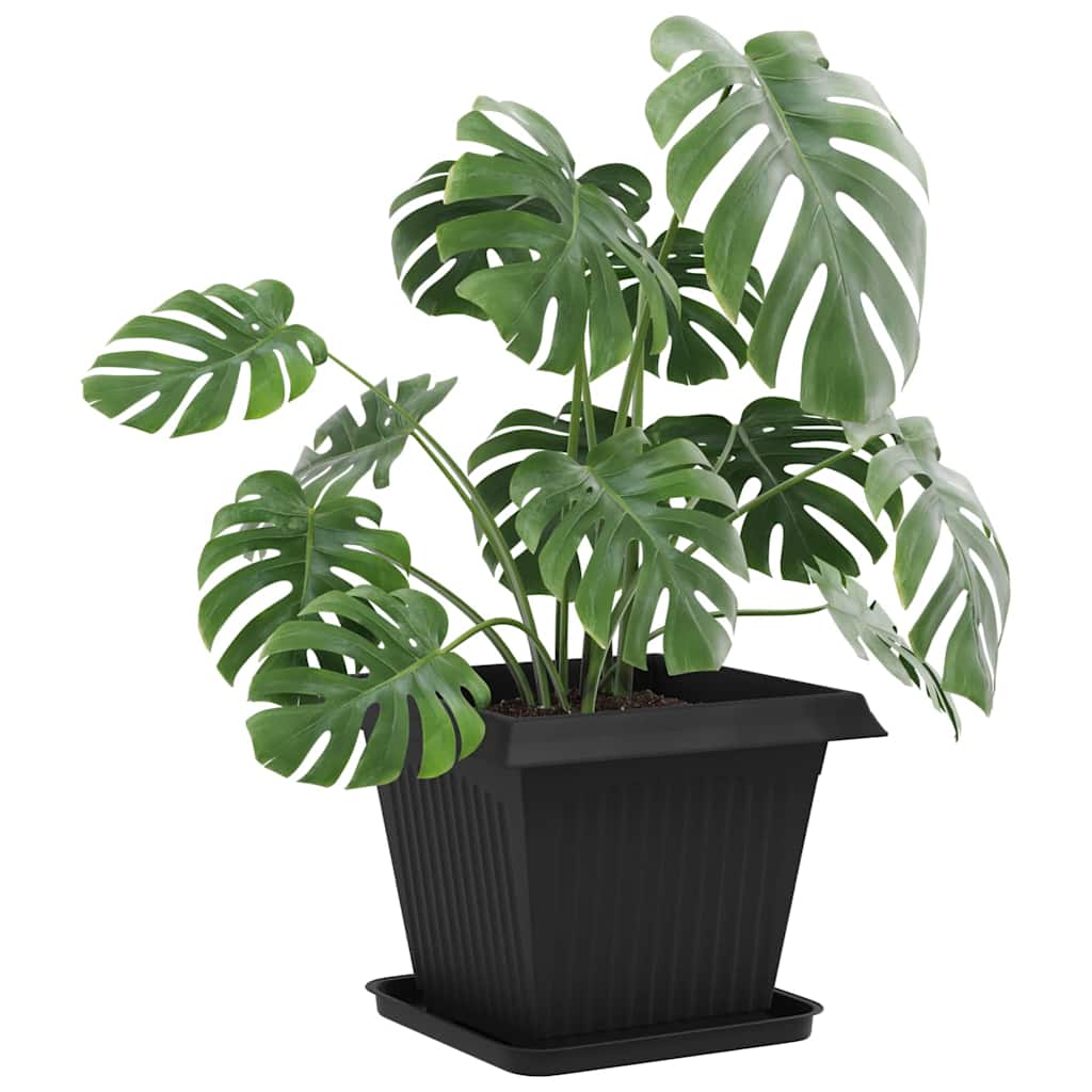 Γλάστρες φυτών 6 pcs Μαύρο 38 x 38 x 30 εκ Πλαστικό - Pakobazaar