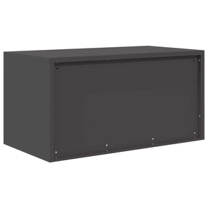 Ντουλάπι αποθήκευσης Μαύρο 80 x 40 x 40 cm Ατσάλι - Pakobazaar