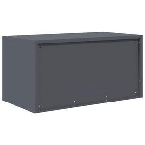 Ντουλάπι αποθήκευσης Ανθρακί 80 x 40 x 40 cm Ατσάλι - Pakobazaar