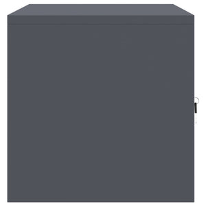 Ντουλάπι αποθήκευσης Ανθρακί 80 x 40 x 40 cm Ατσάλι - Pakobazaar