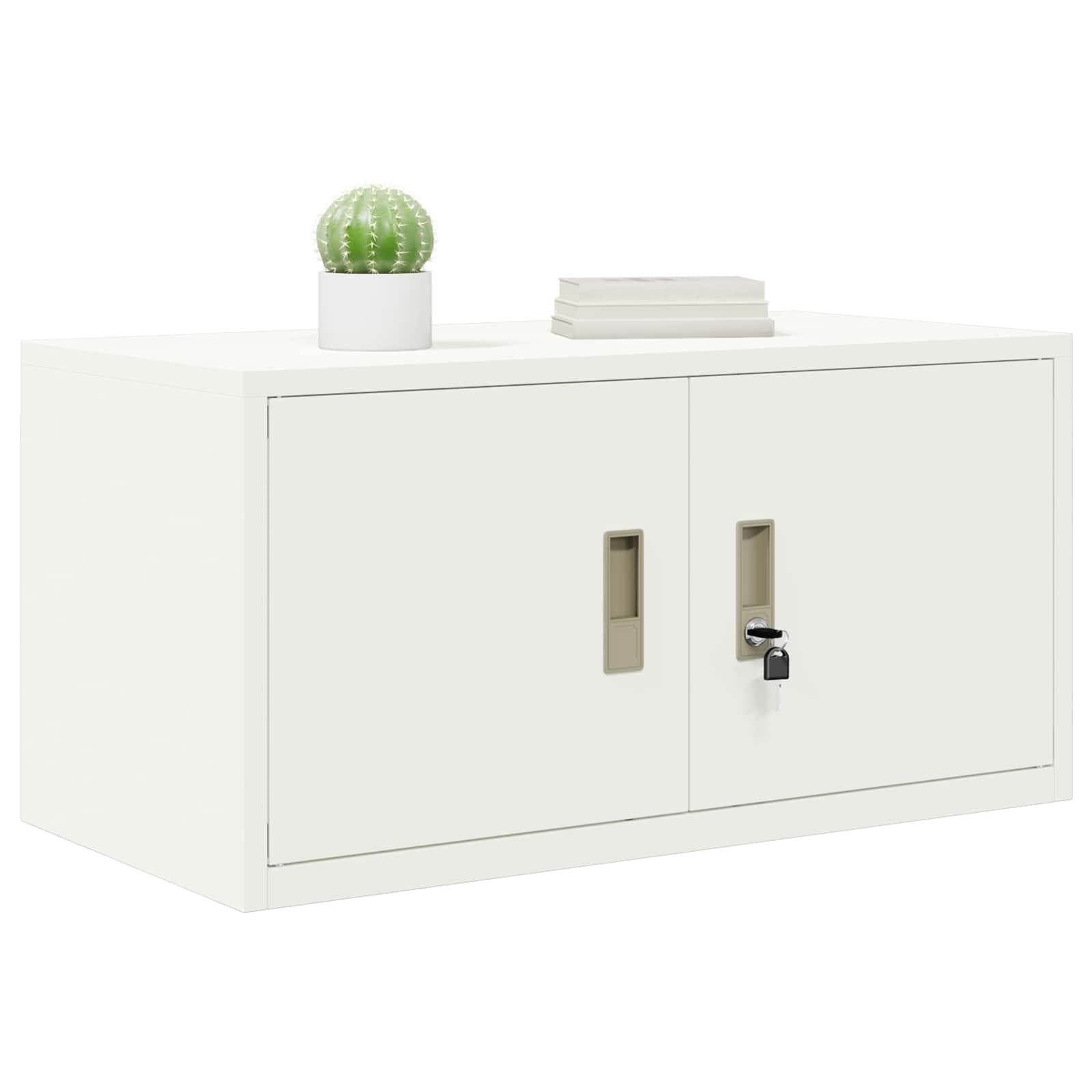 Ντουλάπι αποθήκευσης Λευκός 80 x 40 x 40 cm Ατσάλι - Pakobazaar