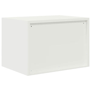 Ντουλάπι αποθήκευσης Λευκός 60 x 40 x 40 εκ. Ατσάλι