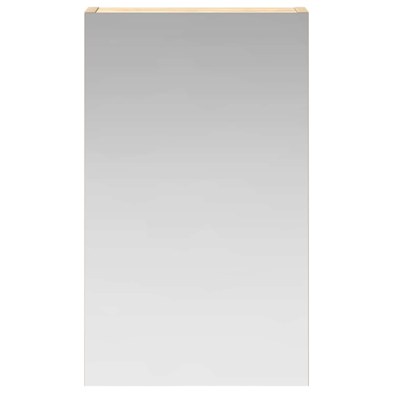 Καθρέφτης Ντουλάπα Μπάνιου Δρύς Sonoma 30 x 10,5 x 50 εκ - Pakobazaar