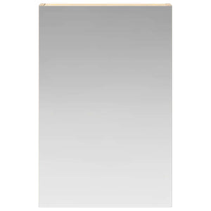Καθρέφτης Ντουλάπα Μπάνιου Δρύς Sonoma 40 x 10,5 x 60,5 εκ - Pakobazaar