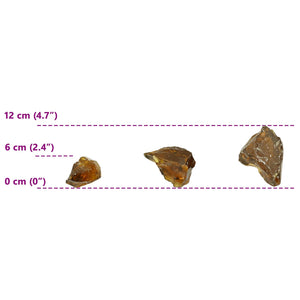 Πέτρες Κήπου Καφέ 12 cm Γυαλί - Pakobazaar