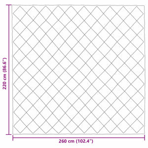 Κουβέρτα ολόκληρου του χρόνου Ανθρακί 220 x 260 cm Μικροΐνες