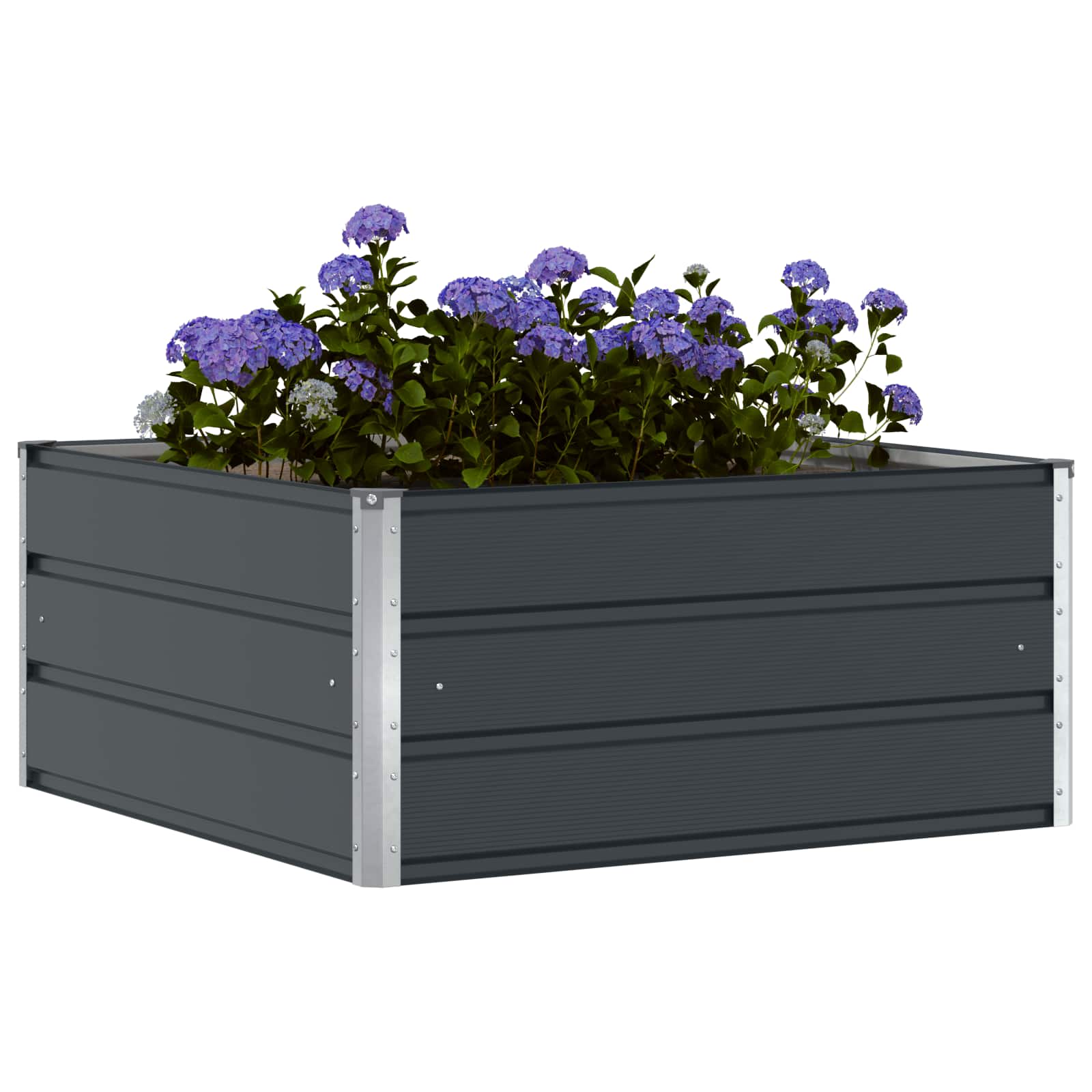 Γλάστρα Ανθρακί 100 x 100 x 45 cm Ατσάλι - Pakobazaar