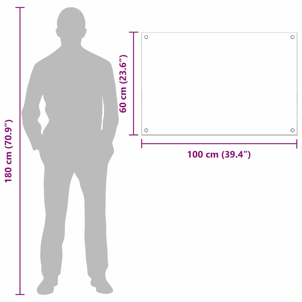Πλάτη κουζίνας 2 pcs Διαφανές 100 x 60 cm σκληρυμένο γυαλί