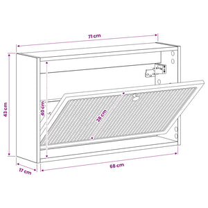Τοίχου Ντουλάπα Παπουτσιών EDE 71 x 17 x 43 εκ Γκρι Sonoma - Pakobazaar