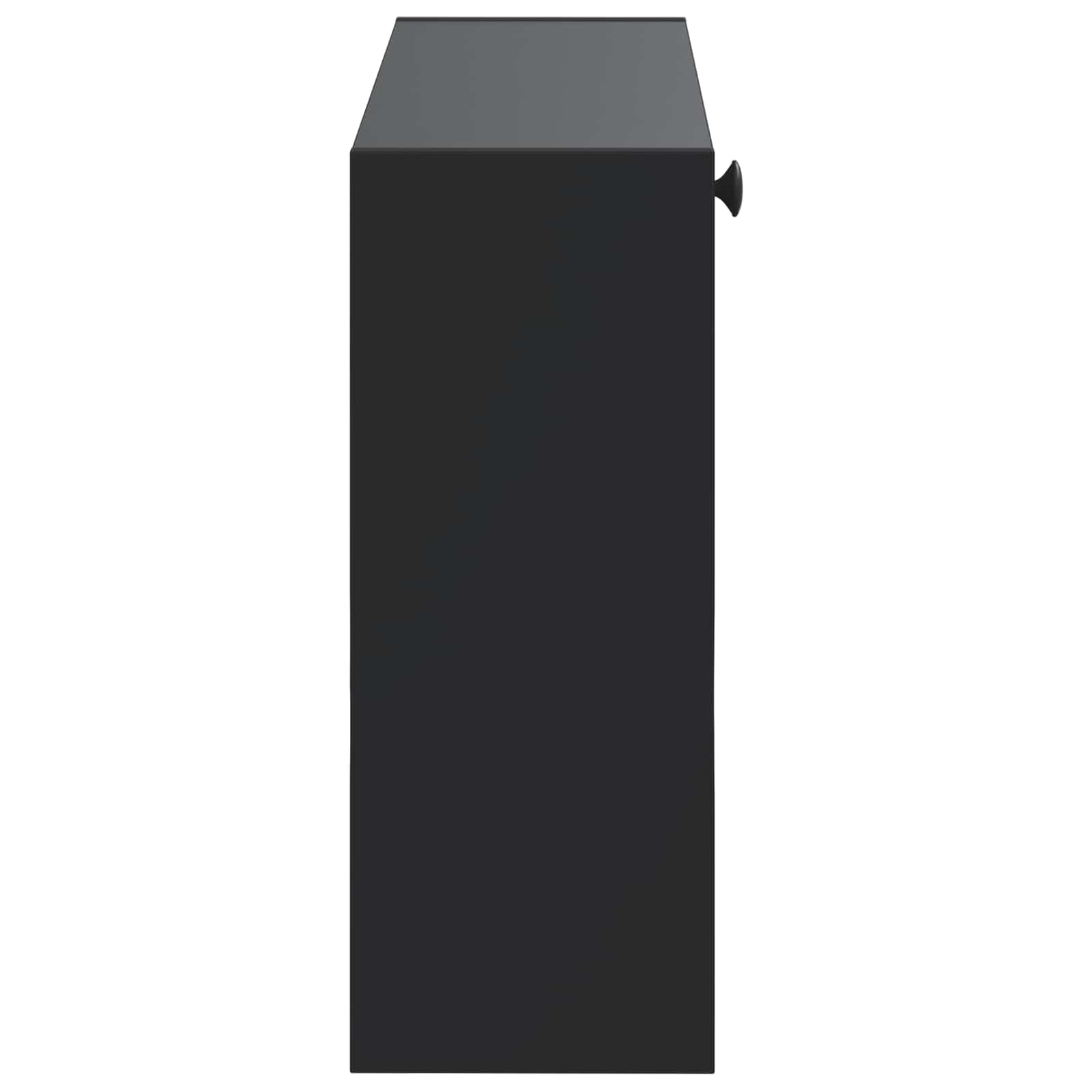 Τοίχου Ντουλάπα Παπουτσιών DELFT 71 x 17 x 43 εκ Μαύρο - Pakobazaar