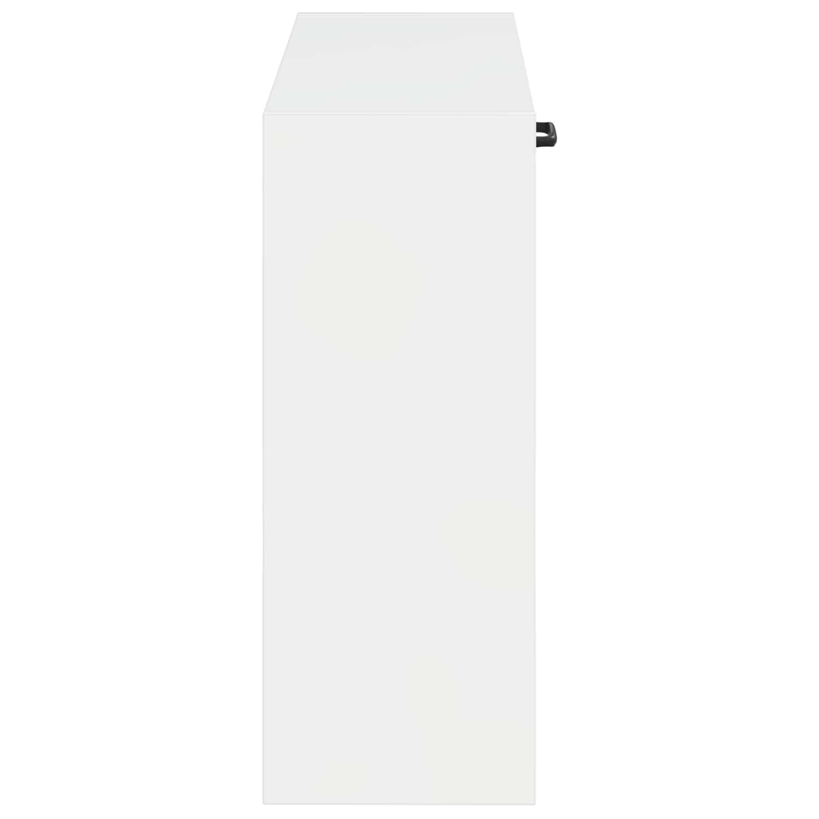 Ντουλάπα Παπουτσιών Τοίχου UTRECHT 71 x 17 x 43 εκ - Pakobazaar