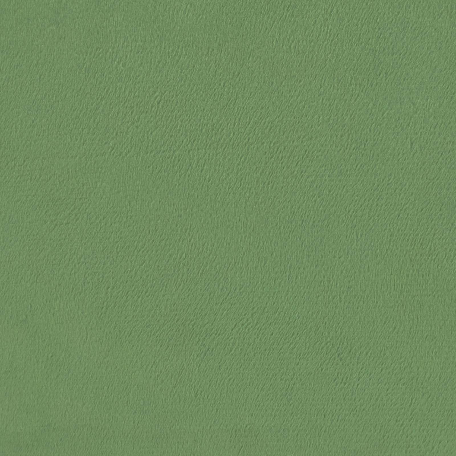 Κουβέρτα ολόκληρου του χρόνου Πράσινο 200 x 220 cm Μικροΐνες - Pakobazaar