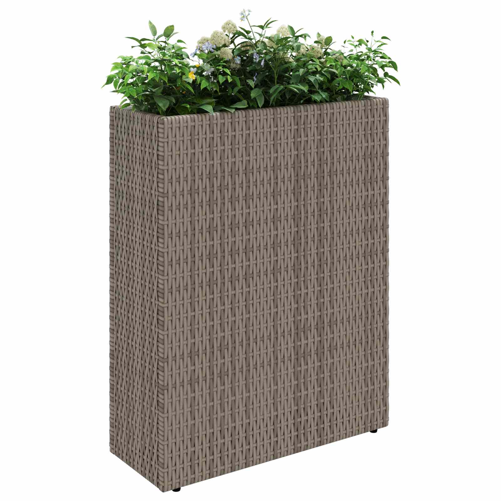 Ψηλός γλάστρα 55 x 22 x 70 εκ Ναι - Pakobazaar