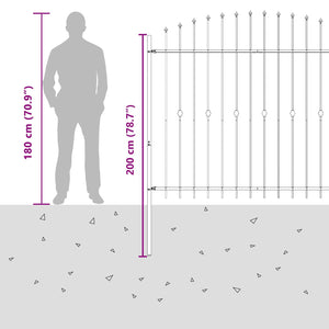 Φράχτης με Σπίθες Μαύρο 200 x 200 cm - Pakobazaar