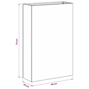 Γλάστρα Κήπου 2 τμχ. Λαδί 50 x 20 x 75 εκ. - Pakobazaar