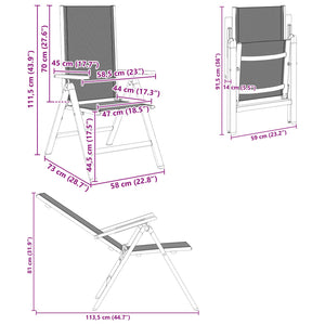 Ανακλινόμενες καρέκλες κήπου 2 pcs Μαύρο 58 x 73 x 111,5 εκ. - Pakobazaar