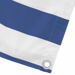 Οθόνη Μπαλκονιού Μπλε και άσπρο 110 x 300 cm Ύφασμα Όξφορντ - Pakobazaar