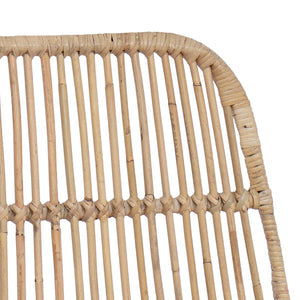 Μπαρ σκαμπό 2 pcs Φυσικό 44 x 54 x 96 εκ. Ράτταν και Χάλυβας - Pakobazaar