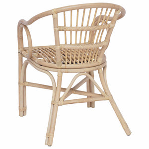 Στοιβαζόμενη Καρέκλα Φυσικό 58 x 60 x 81 cm Ρατάν - Pakobazaar