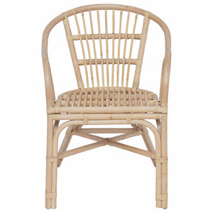 Στοιβαζόμενη Καρέκλα Φυσικό 58 x 60 x 81 cm Ρατάν - Pakobazaar