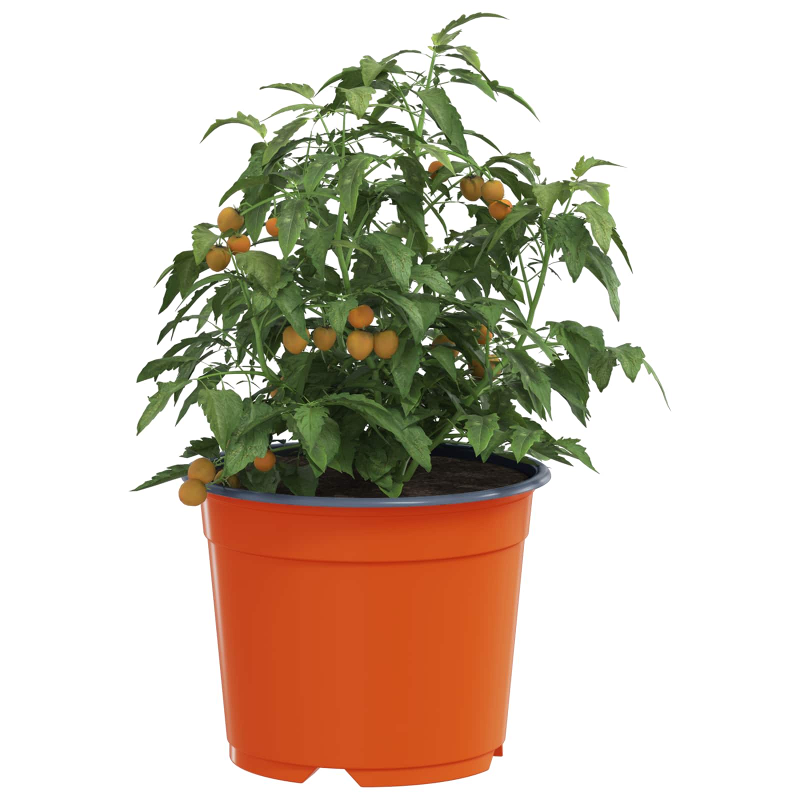 Γλάστρα Λουλουδιών 50 pcs Τερακότα Ø 15 x 12.5 εκ. Πλαστικό - Pakobazaar