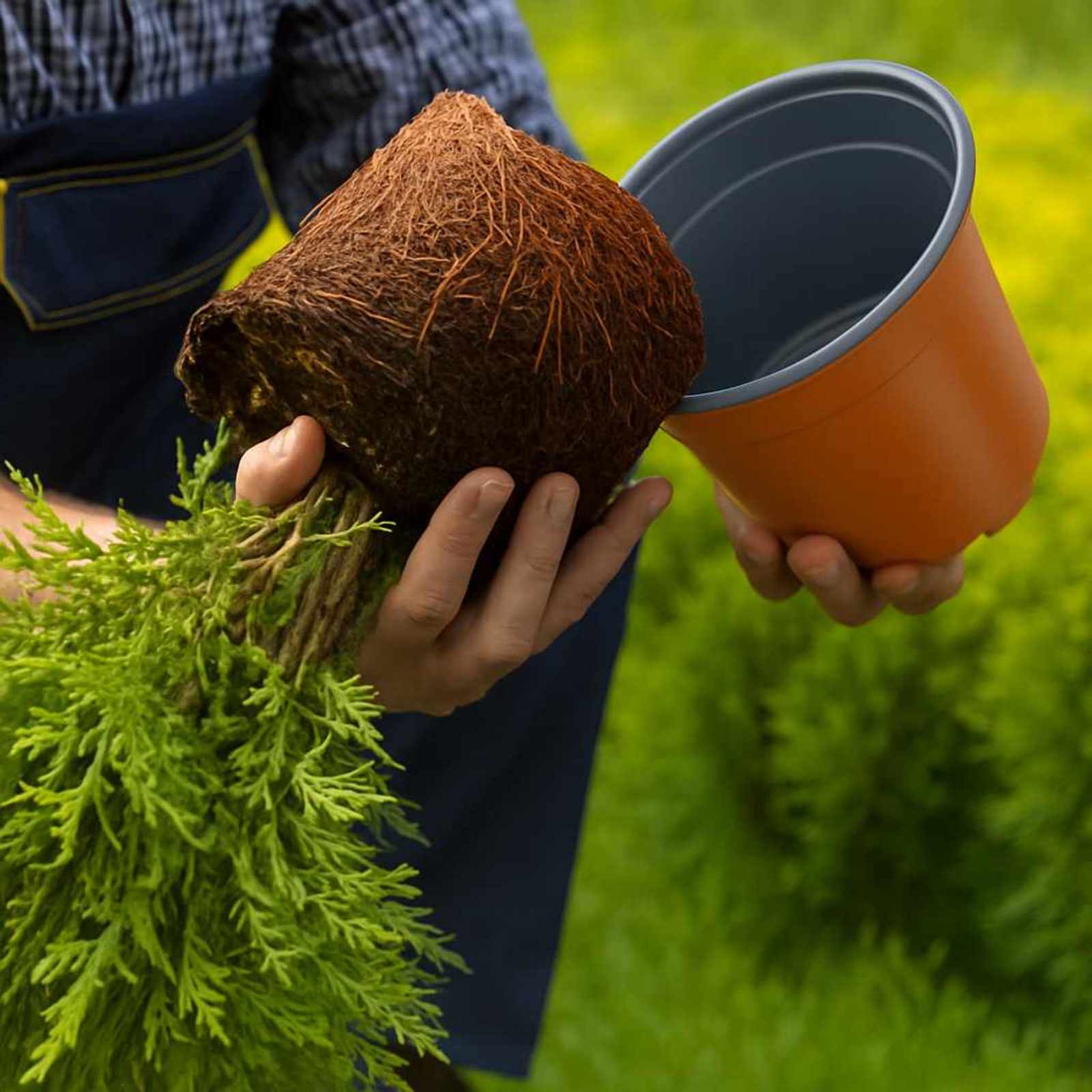 Γλάστρα Λουλουδιών 200 pcs Τερακότα Ø 15 x 12.5 εκ. Πλαστικό - Pakobazaar