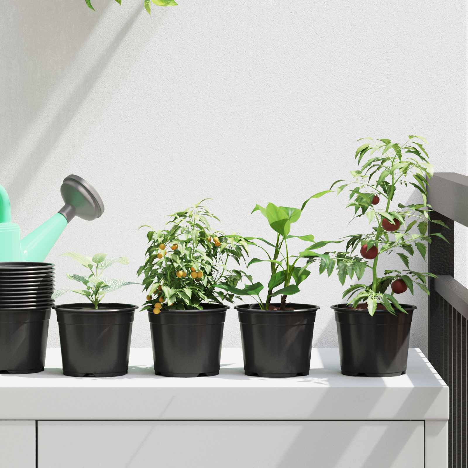 Στρογγυλή Γλάστρα Λουλουδιών 50 pcs Μαύρο Ø 15 x 12.5 εκ.