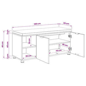 Πάγκος Παπουτσιών με Μαξιλάρι Artisan Δρυς 100 x 38 x 46 εκ - Pakobazaar