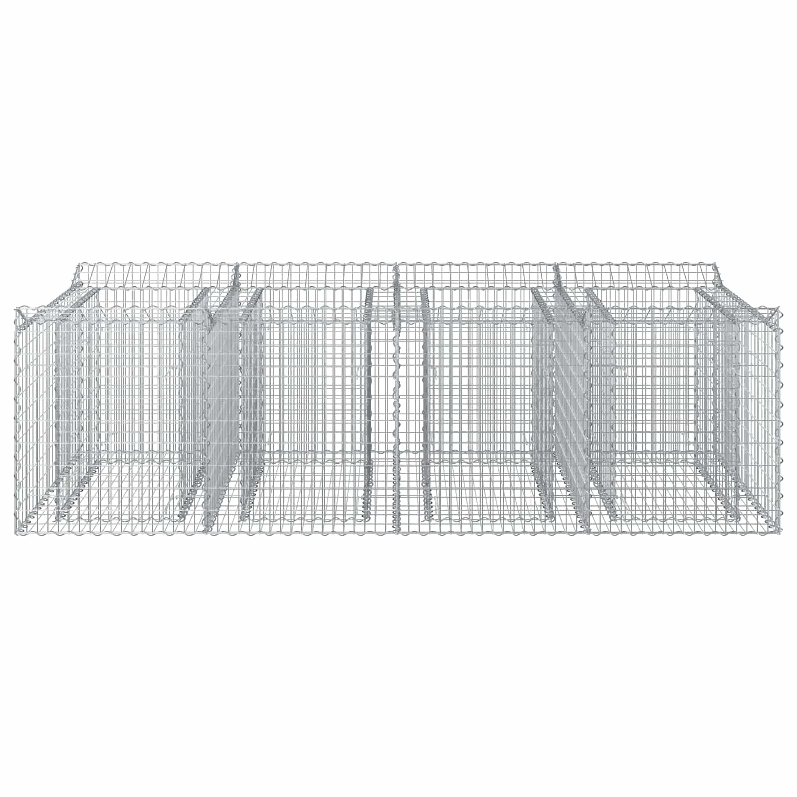 Ανασηκωμένο κρεβάτι gabion 2 pcs Ασημί - Pakobazaar