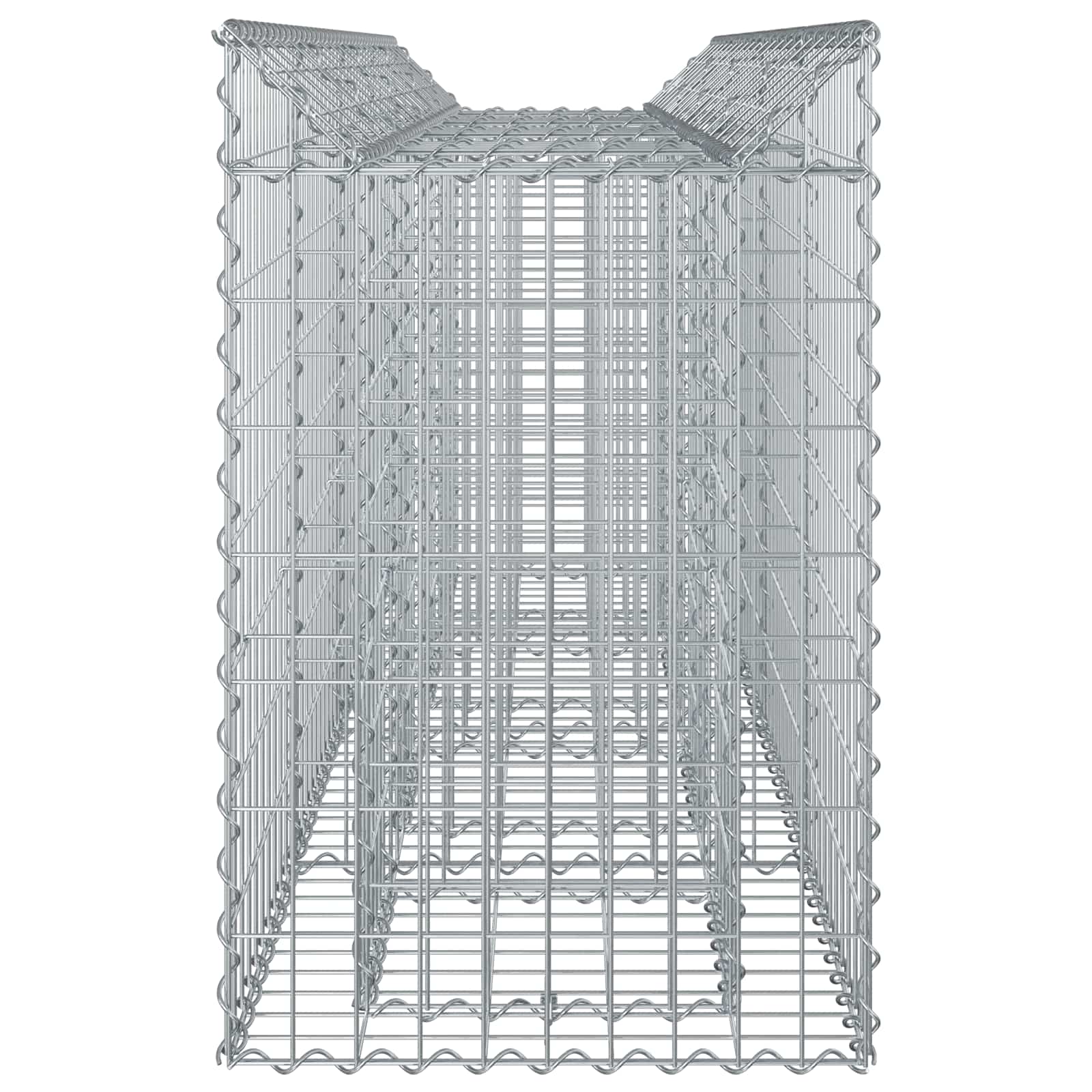 Ανασηκωμένο κρεβάτι gabion 2 pcs Ασημί 200 x 50 x 80 εκ - Pakobazaar
