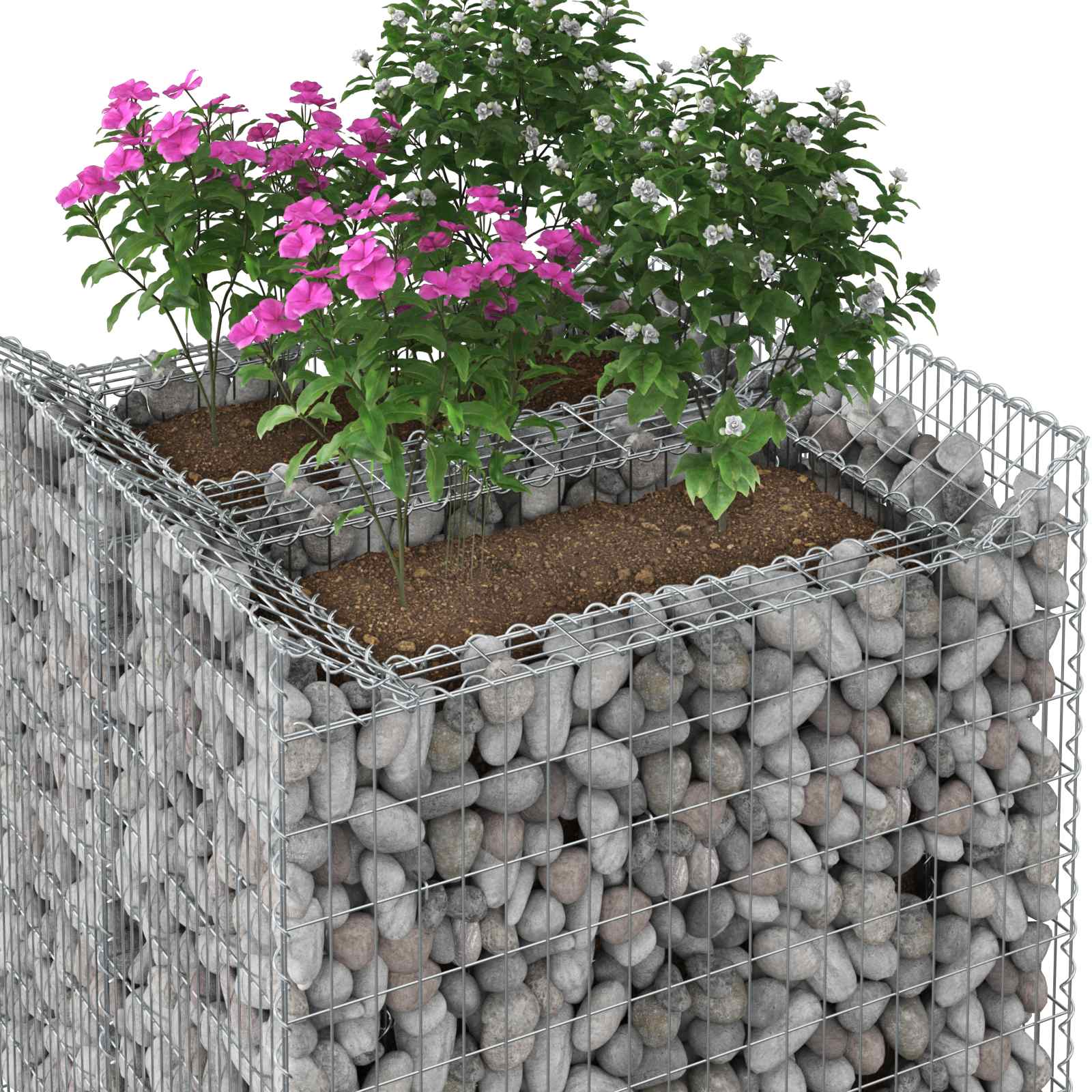 Ανασηκωμένο κρεβάτι gabion 2 pcs Ασημί - Pakobazaar