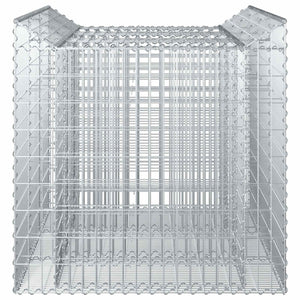 Ανασηκωμένο κρεβάτι gabion 2 pcs Ασημί - Pakobazaar