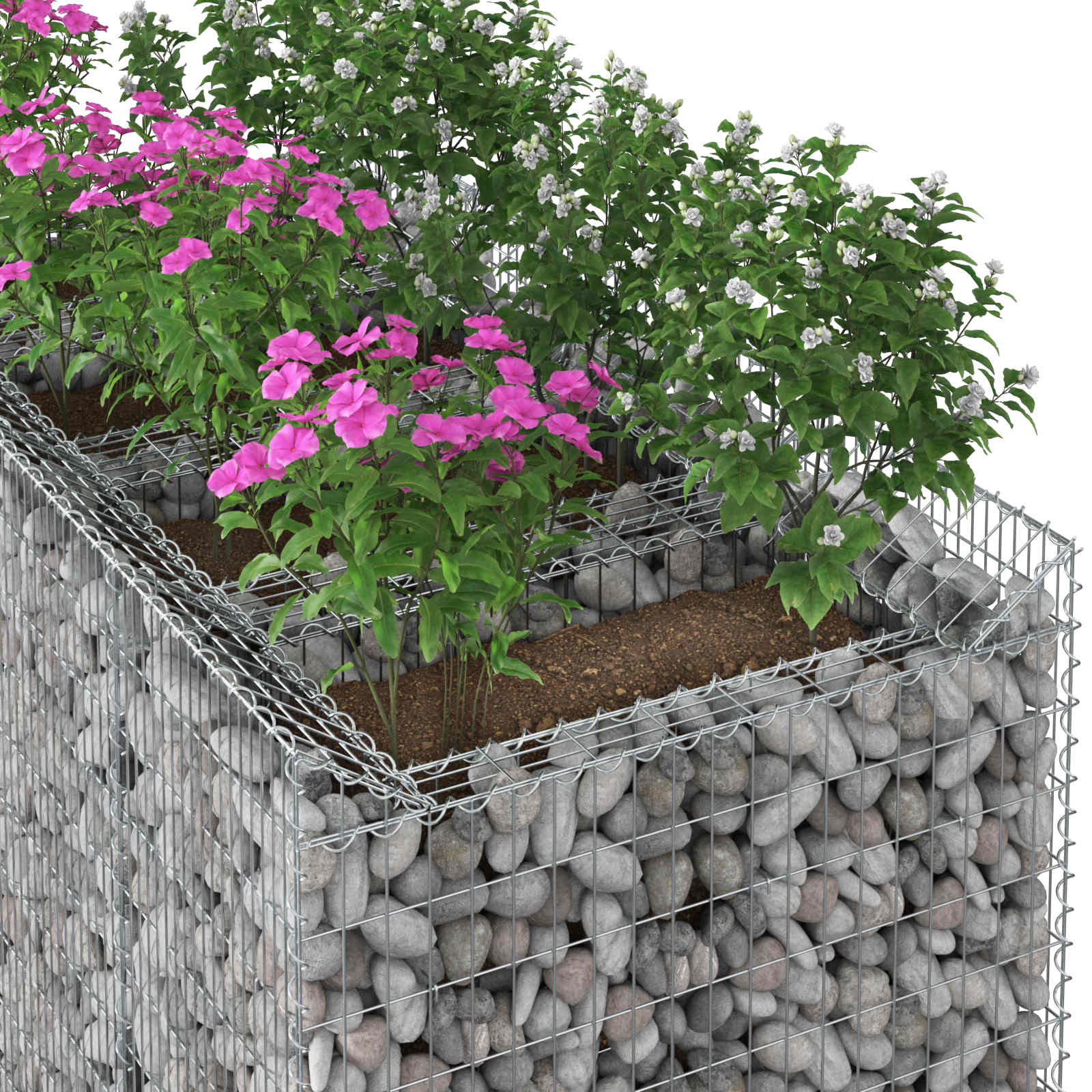 Ανασηκωμένο κρεβάτι gabion 2 pcs Ασημί - Pakobazaar