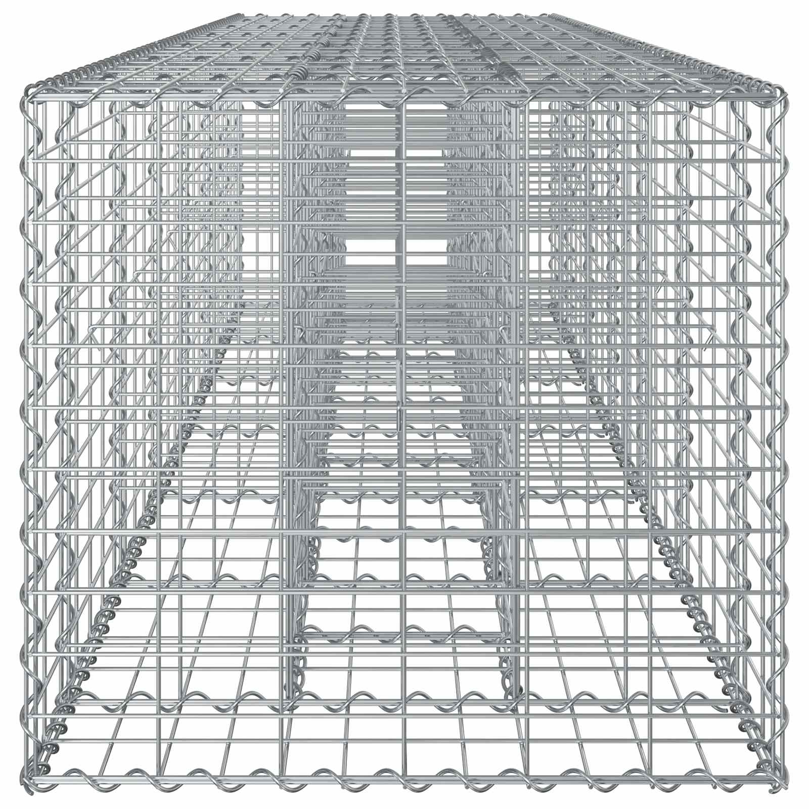 Ανασηκωμένο κρεβάτι gabion 2 pcs Ασημί 260 x 60 x 55 εκ - Pakobazaar