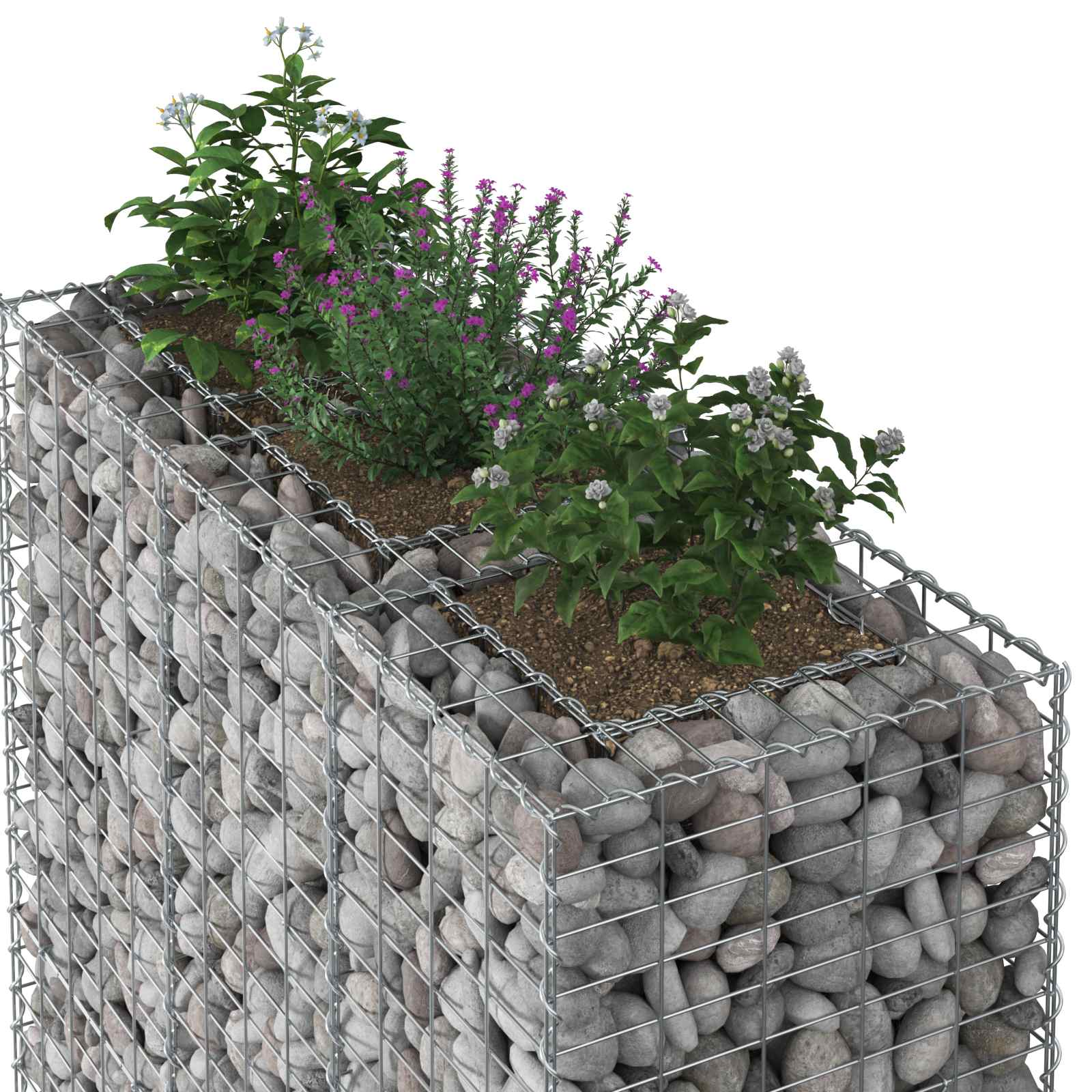 Ανασηκωμένο κρεβάτι gabion 2 pcs Ασημί 130 x 50 x 150 εκ - Pakobazaar