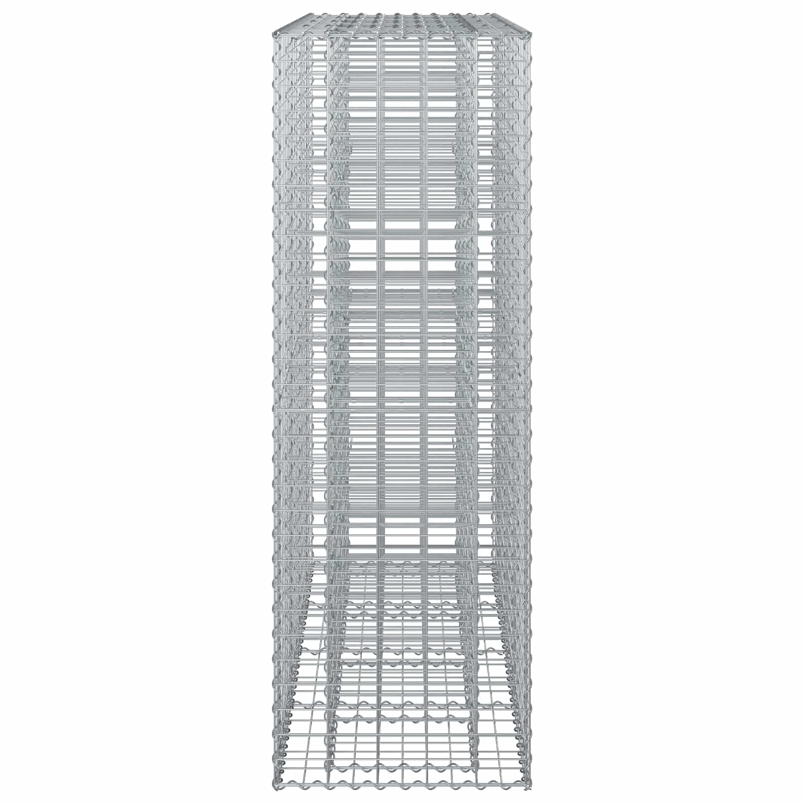 Ανασηκωμένο κρεβάτι gabion 2 pcs Ασημί 170 x 50 x 150 εκ - Pakobazaar