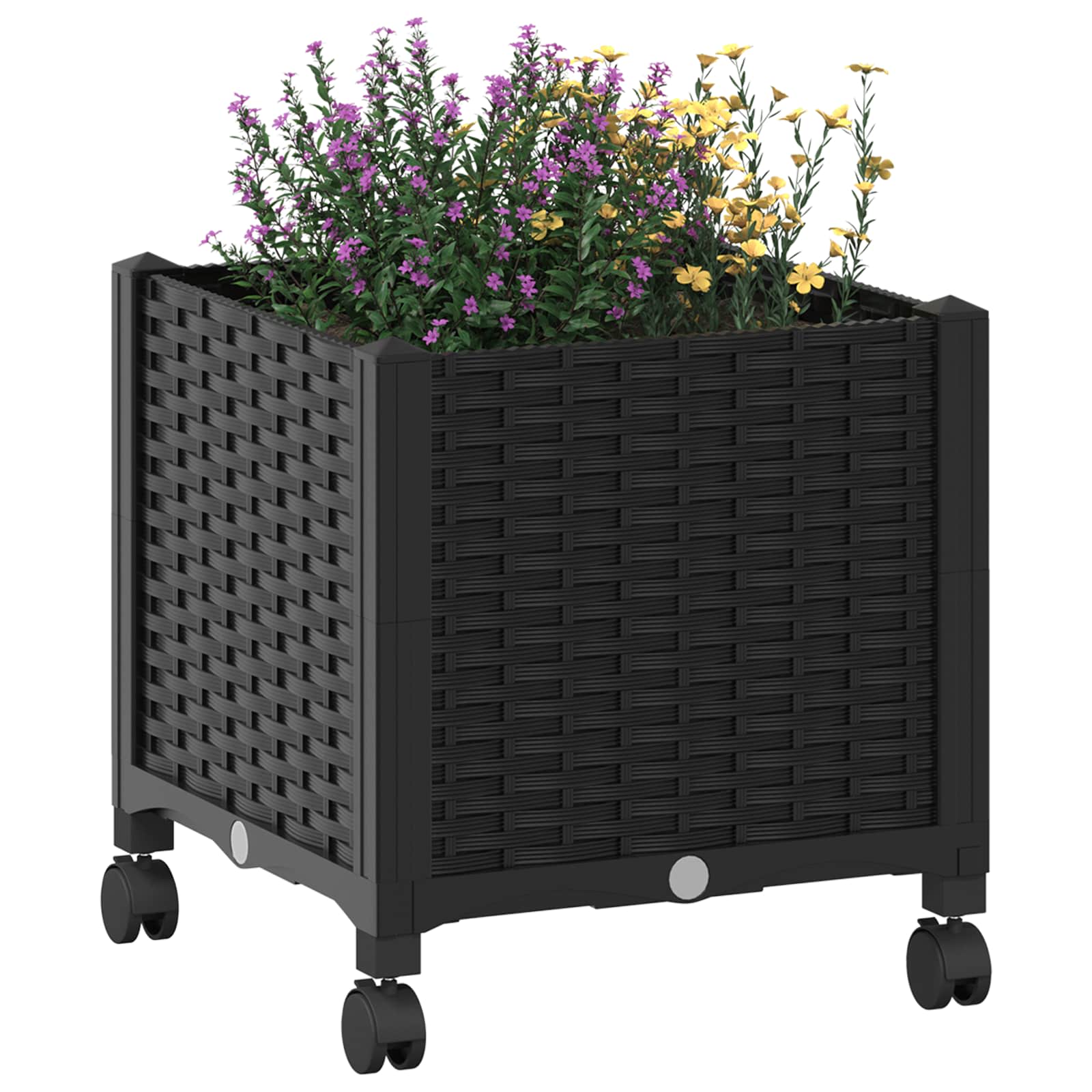 Κήπος Γλαστράκι με Ροδάκια Μαύρο 40 x 40 x 44 εκ PP - Pakobazaar