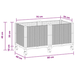 Κήπος Γλαστράκι με Ροδάκια Ανοιχτό γκρι 80 x 40 x 48 cm PP - Pakobazaar